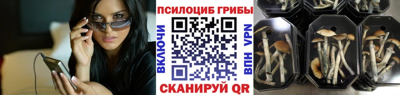 Купить закладки  Белозерск  Псилоцибиновые грибы мухоморы 